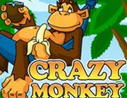 Crazy_Mokey_180х138