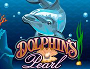 Dolphins_180х138