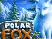 Polar_Fox_180х138