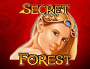 Secret_Forest_180х138